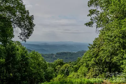 42 Wild Magnolia Way, Zirconia, NC 28790 - Photo 3