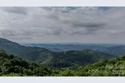 42 Wild Magnolia Way, Zirconia, NC 28790 - Photo 47