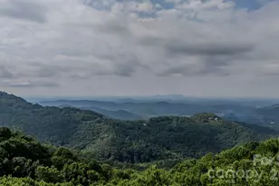 42 Wild Magnolia Way, Zirconia, NC 28790 - Photo 47