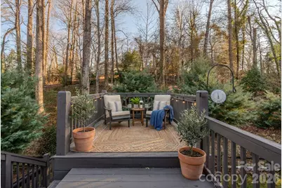 66 Fox Trot Lane, Tryon, NC 28782 - Photo 29