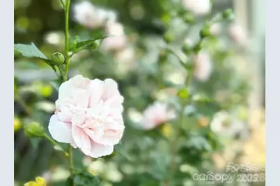 1164 Hidden Lake Drive #10, Granite Falls, NC 28630 - Photo 41