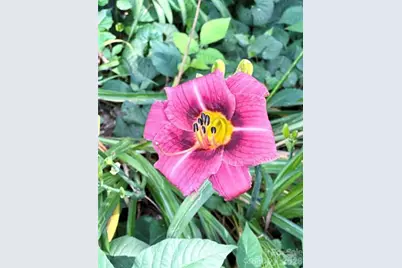 1164 Hidden Lake Drive #10, Granite Falls, NC 28630 - Photo 39