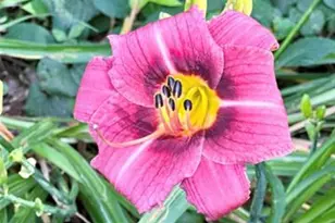 1164 Hidden Lake Dr, Granite Falls, NC 28630 - Photo 39