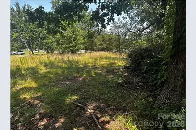 1554 Forum Lane, Iron Station, NC 28080 - Photo 3