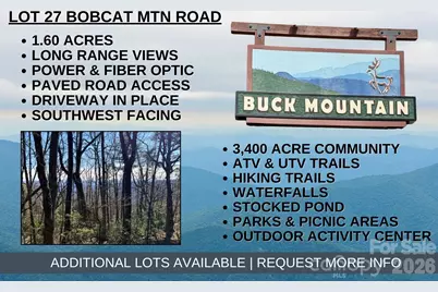Tbd Bobcat Mountain Road #27, Purlear, NC 28665 - Photo 1