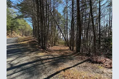 Tbd Bobcat Mountain Road #27, Purlear, NC 28665 - Photo 5