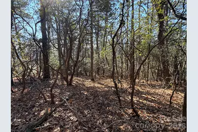 Tbd Bobcat Mountain Road #27, Purlear, NC 28665 - Photo 9