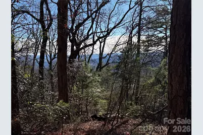 Tbd Bobcat Mountain Road #27, Purlear, NC 28665 - Photo 1