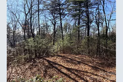 Tbd Bobcat Mountain Road #27, Purlear, NC 28665 - Photo 7