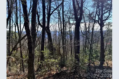 Tbd Bobcat Mountain Road #27, Purlear, NC 28665 - Photo 17