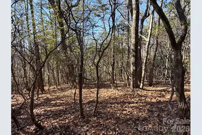 Tbd Bobcat Mountain Road #27, Purlear, NC 28665 - Photo 3