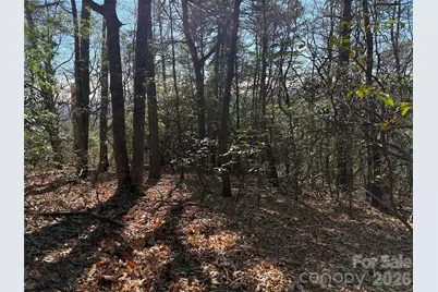 Tbd Bobcat Mountain Road #27, Purlear, NC 28665 - Photo 15
