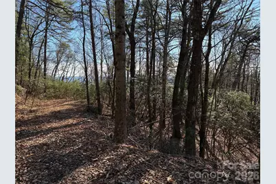 Tbd Bobcat Mountain Road #27, Purlear, NC 28665 - Photo 5