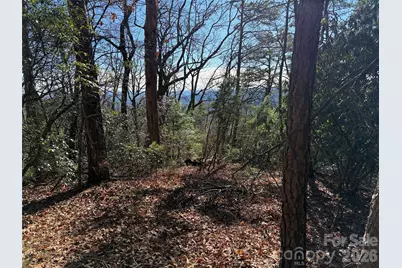 Tbd Bobcat Mountain Road #27, Purlear, NC 28665 - Photo 7