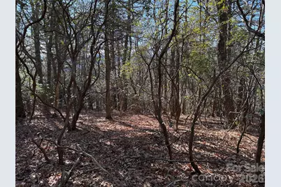 Tbd Bobcat Mountain Road #27, Purlear, NC 28665 - Photo 11