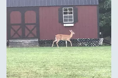 2720 Lakefront Drive, Belmont, NC 28012 - Photo 47