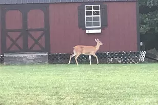 2720 Lake Front Dr, Belmont, NC 28012 - Photo 47