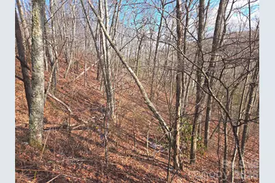 220 Sky Drive #PT-11, Maggie Valley, NC 28751 - Photo 5