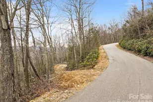 1480 Odalu Trail, Maggie Valley, NC 28751 - Photo 11