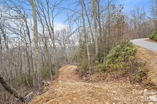 1480 Odalu Trail, Maggie Valley, NC 28751 - Photo 7