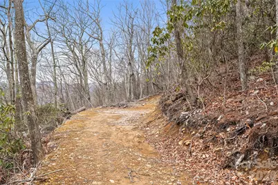 1480 Odalu Trail, Maggie Valley, NC 28751 - Photo 9