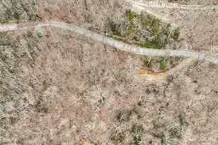 1480 Odalu Trail, Maggie Valley, NC 28751 - Photo 17