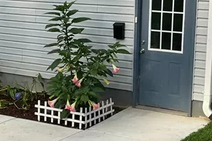 240 Eldon Ln, Salisbury, NC 28144 - Photo 9