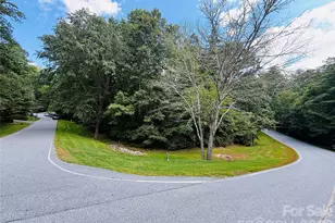 20 Prickly Briar Rd, Hendersonville, NC 28739 - Photo 1