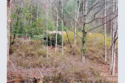 2701 Gouges Creek Road, Spruce Pine, NC 28777 - Photo 7