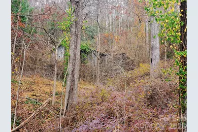 2701 Gouges Creek Road, Spruce Pine, NC 28777 - Photo 3