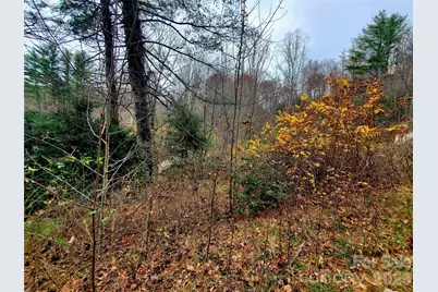 2701 Gouges Creek Road, Spruce Pine, NC 28777 - Photo 11
