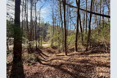 Lots 35, 36 & 37 Fox Den Road #35,36,37, Brevard, NC 28712 - Photo 3