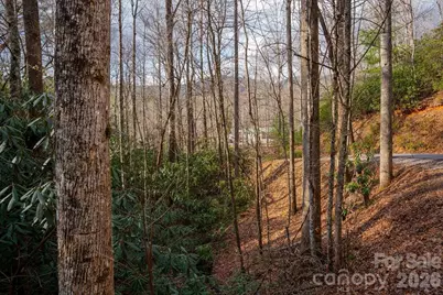 Lots 35, 36 & 37 Fox Den Road #35,36,37, Brevard, NC 28712 - Photo 9