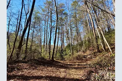 Lots 35, 36 & 37 Fox Den Road #35,36,37, Brevard, NC 28712 - Photo 19