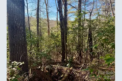 Lots 35, 36 & 37 Fox Den Road #35,36,37, Brevard, NC 28712 - Photo 11