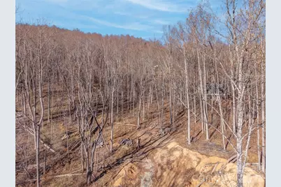 6 Pioneer Lane, Fletcher, NC 28732 - Photo 11