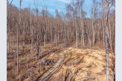 6 Pioneer Lane, Fletcher, NC 28732 - Photo 5