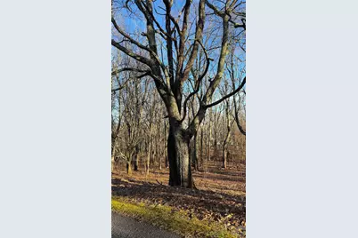 114 Eagle View Circle, Waynesville, NC 28786 - Photo 7