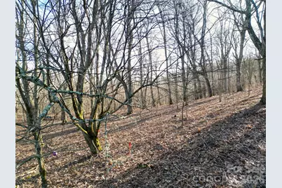 114 Eagle View Circle, Waynesville, NC 28786 - Photo 25