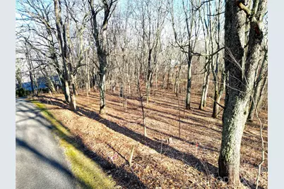 114 Eagle View Circle, Waynesville, NC 28786 - Photo 31