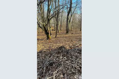 114 Eagle View Circle, Waynesville, NC 28786 - Photo 21