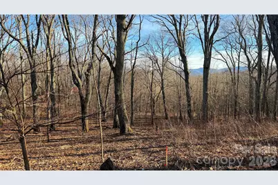 114 Eagle View Circle, Waynesville, NC 28786 - Photo 11