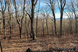 114 Eagle View Cir, Waynesville, NC 28786 - Photo 1