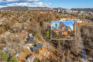 171 Houston Pl, Asheville, NC 28801 - Photo 43