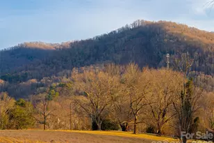 97 Upper Moffitt Rd, Asheville, NC 28805 - Photo 43