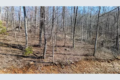 000 Rainbow Trout Drive, Spruce Pine, NC 28777 - Photo 7