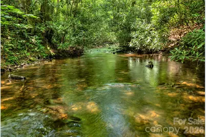 000 Rainbow Trout Drive, Spruce Pine, NC 28777 - Photo 17
