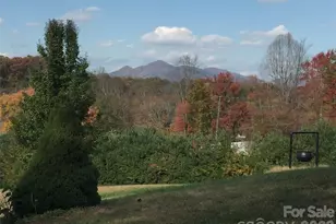 651 Case Cove Rd, Candler, NC 28715 - Photo 45