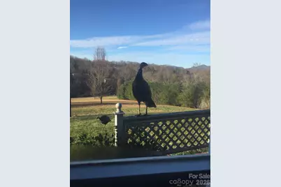 651 Case Cove Road, Candler, NC 28715 - Photo 45