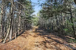 3181 Shag Bark Rd, Connelly Springs, NC 28612 - Photo 33